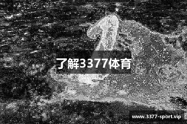 了解3377体育